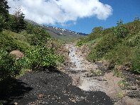 rrente Quarantore-20100606 053